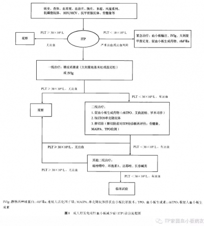 图2 成人原发免疫性血小板减少症（ＩＴＰ）诊治流程图