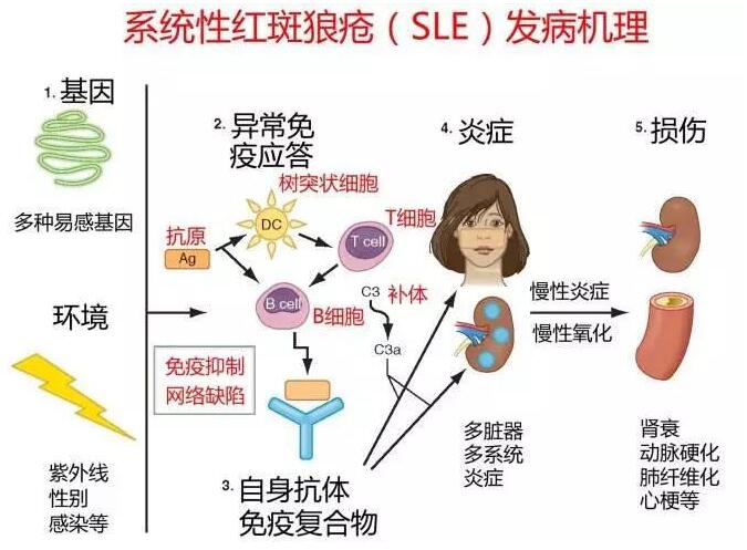 QQ截图20220113144544.jpg